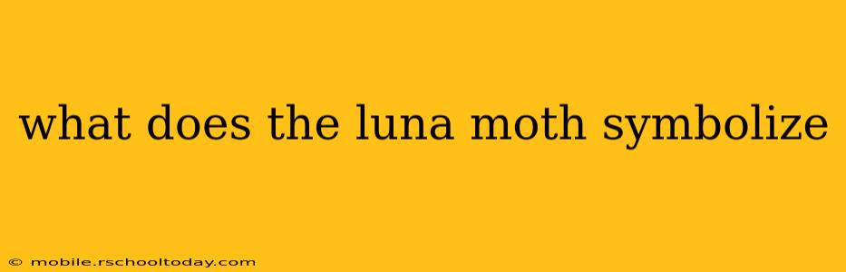 what does the luna moth symbolize