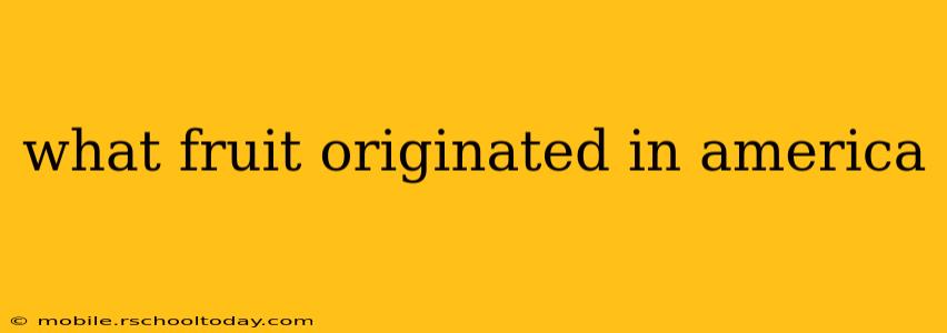 what fruit originated in america