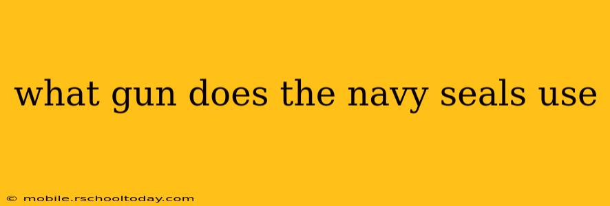 what gun does the navy seals use