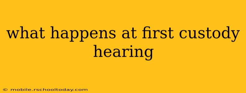 what happens at first custody hearing