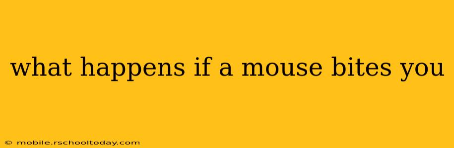 what happens if a mouse bites you