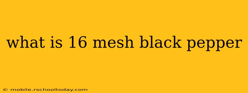 what is 16 mesh black pepper