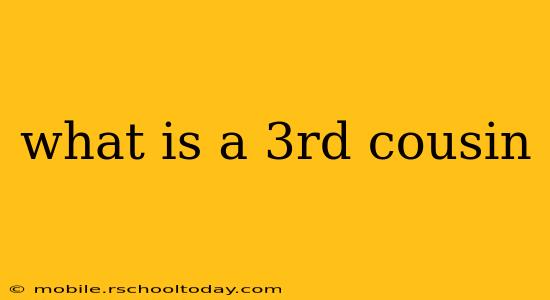 what is a 3rd cousin