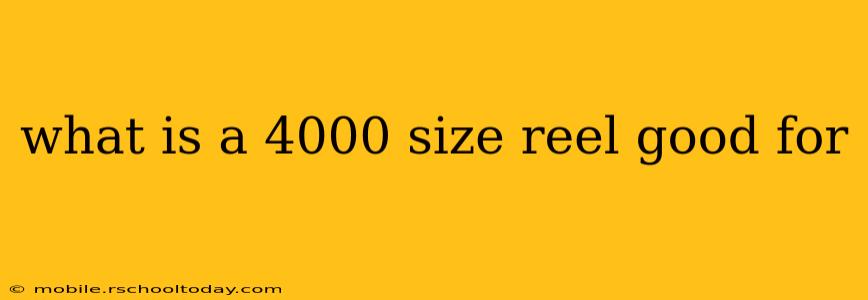 what is a 4000 size reel good for