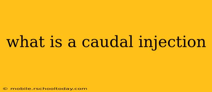 what is a caudal injection