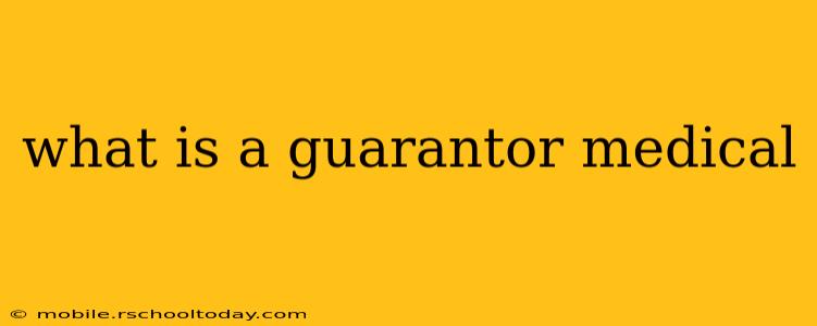 what is a guarantor medical