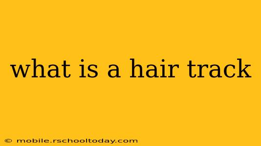 what is a hair track