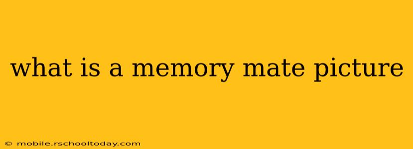 what is a memory mate picture
