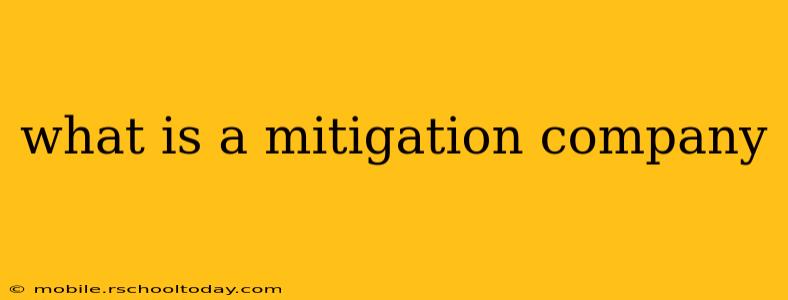 what is a mitigation company