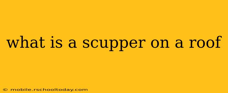 what is a scupper on a roof