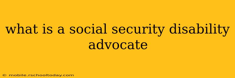 what is a social security disability advocate