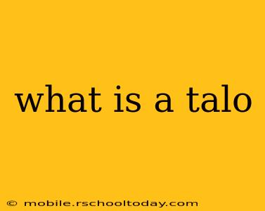 what is a talo