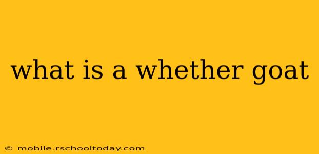 what is a whether goat