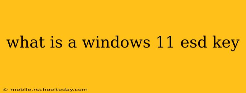 what is a windows 11 esd key