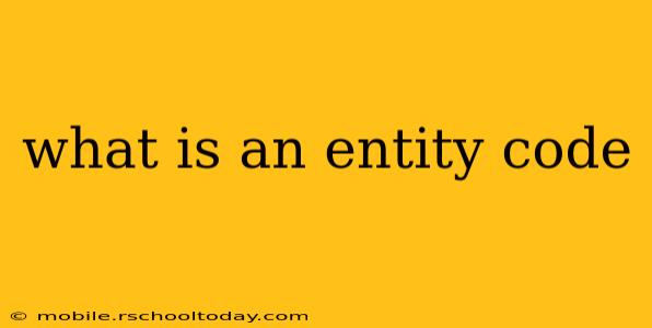 what is an entity code