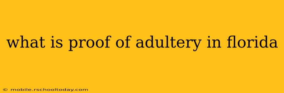 what is proof of adultery in florida