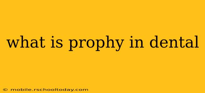 what is prophy in dental