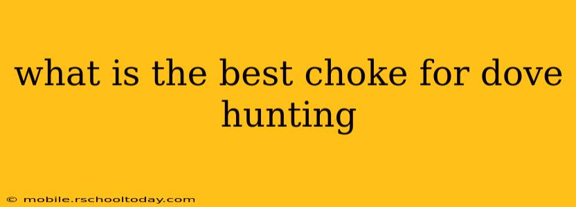 what is the best choke for dove hunting