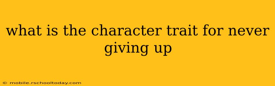 what is the character trait for never giving up