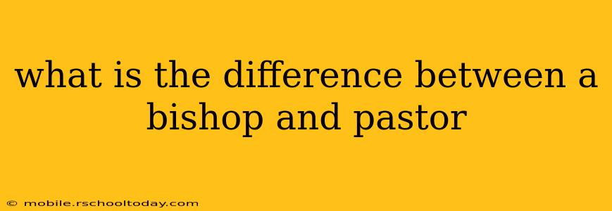 what is the difference between a bishop and pastor