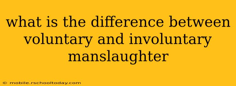 what is the difference between voluntary and involuntary manslaughter