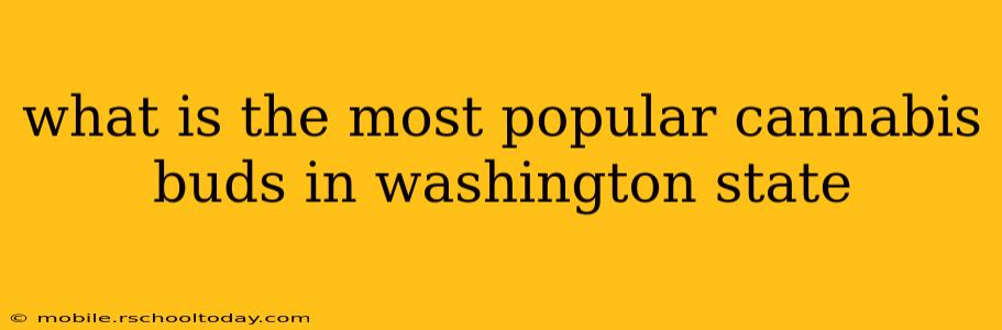 what is the most popular cannabis buds in washington state