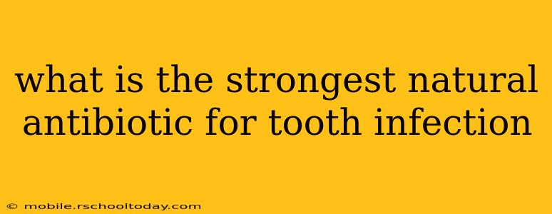 what is the strongest natural antibiotic for tooth infection