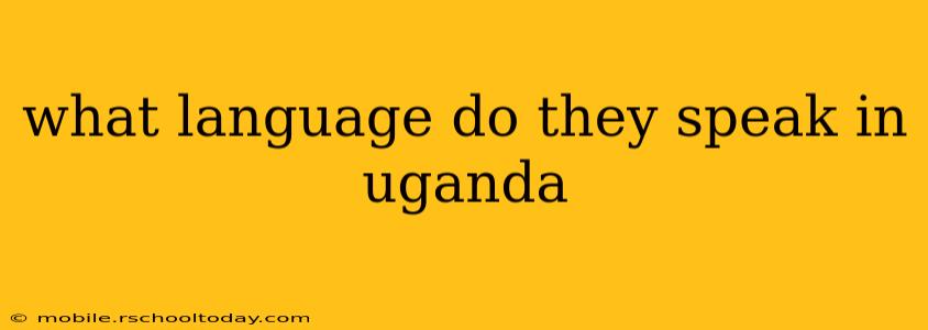 what language do they speak in uganda