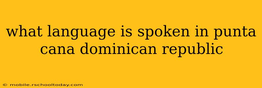 what language is spoken in punta cana dominican republic