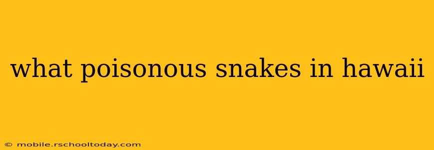 what poisonous snakes in hawaii