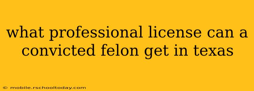 what professional license can a convicted felon get in texas