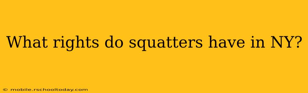 What rights do squatters have in NY?