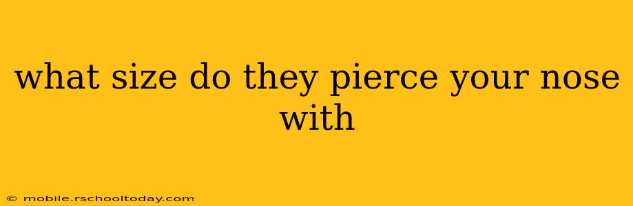 what size do they pierce your nose with
