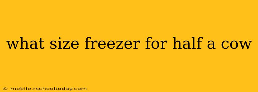 what size freezer for half a cow