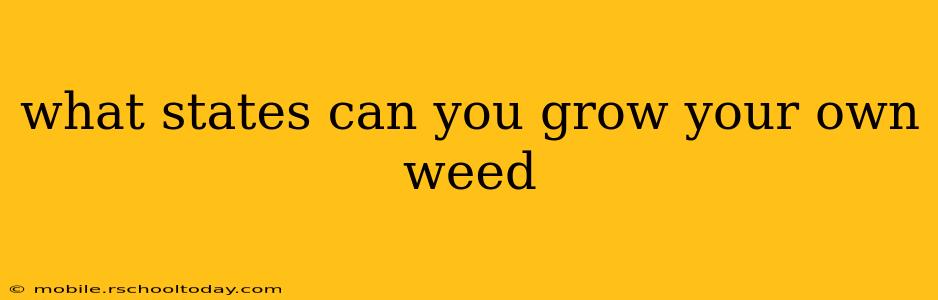 what states can you grow your own weed