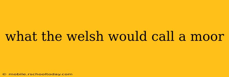 what the welsh would call a moor