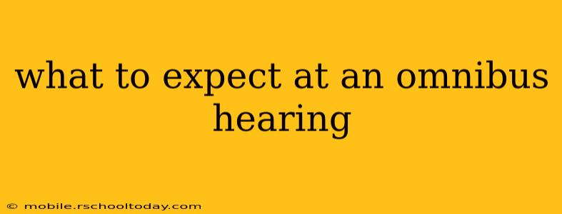 what to expect at an omnibus hearing