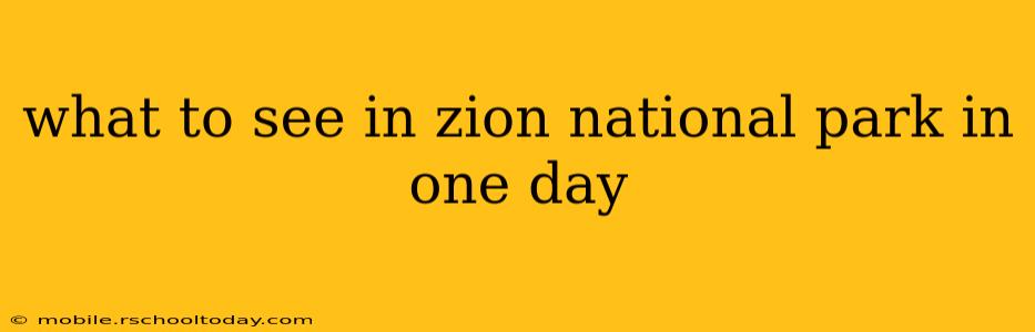 what to see in zion national park in one day