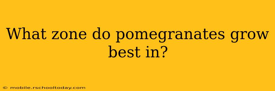 What zone do pomegranates grow best in?