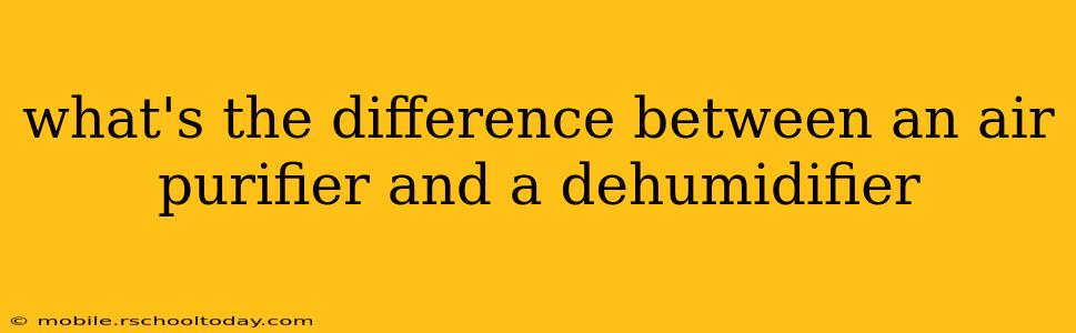 what's the difference between an air purifier and a dehumidifier