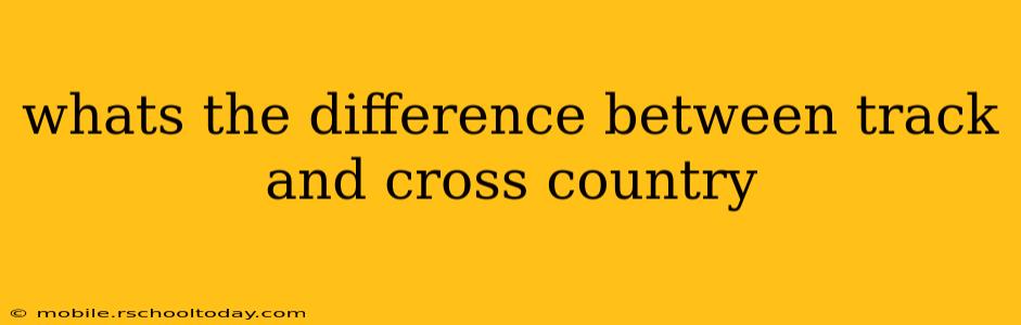whats the difference between track and cross country