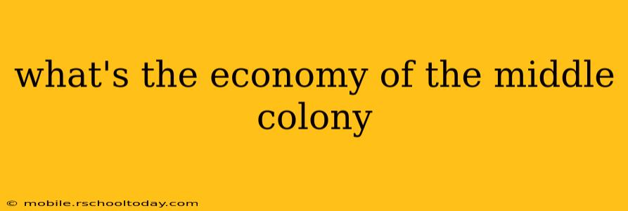 what's the economy of the middle colony