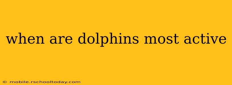 when are dolphins most active
