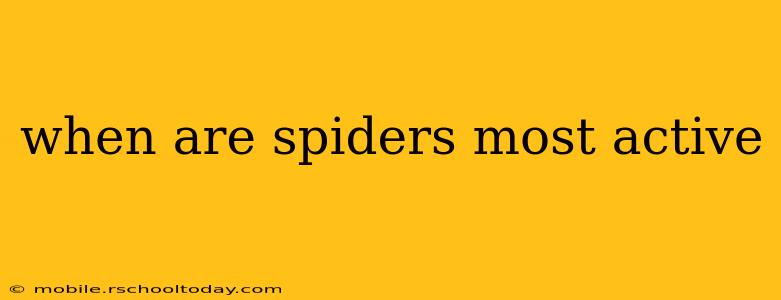 when are spiders most active