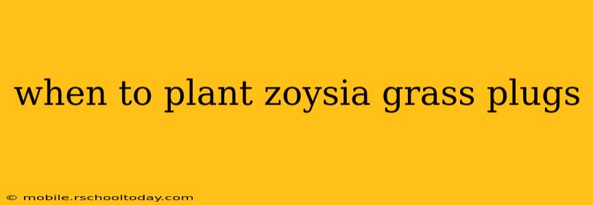 when to plant zoysia grass plugs