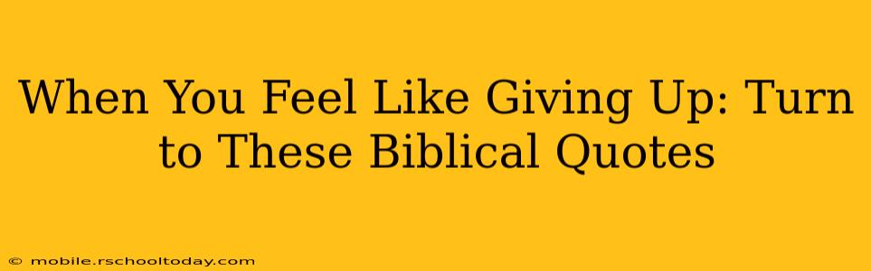 When You Feel Like Giving Up: Turn to These Biblical Quotes