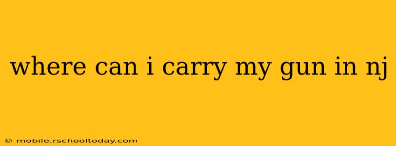 where can i carry my gun in nj