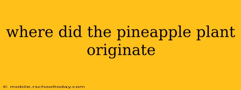 where did the pineapple plant originate