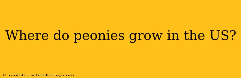 Where do peonies grow in the US?