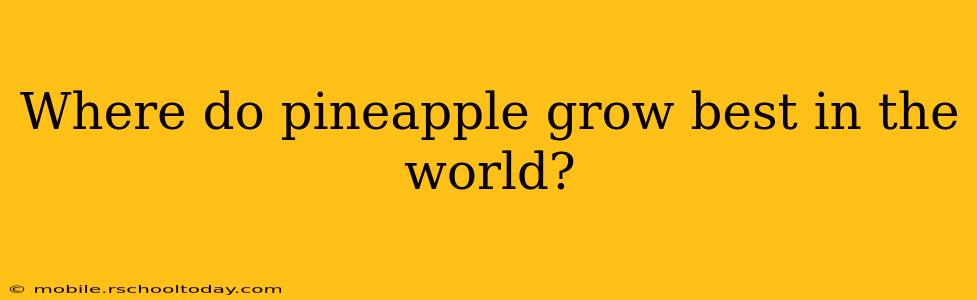 Where do pineapple grow best in the world?